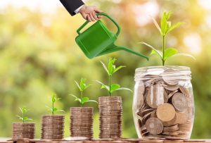 The Investment Outlook in 2025