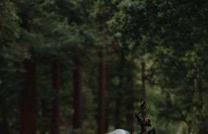 black and silver naked motorcycle on road during daytime