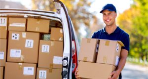 Professional Courier