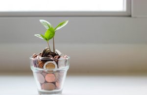 green plant in clear glass cup