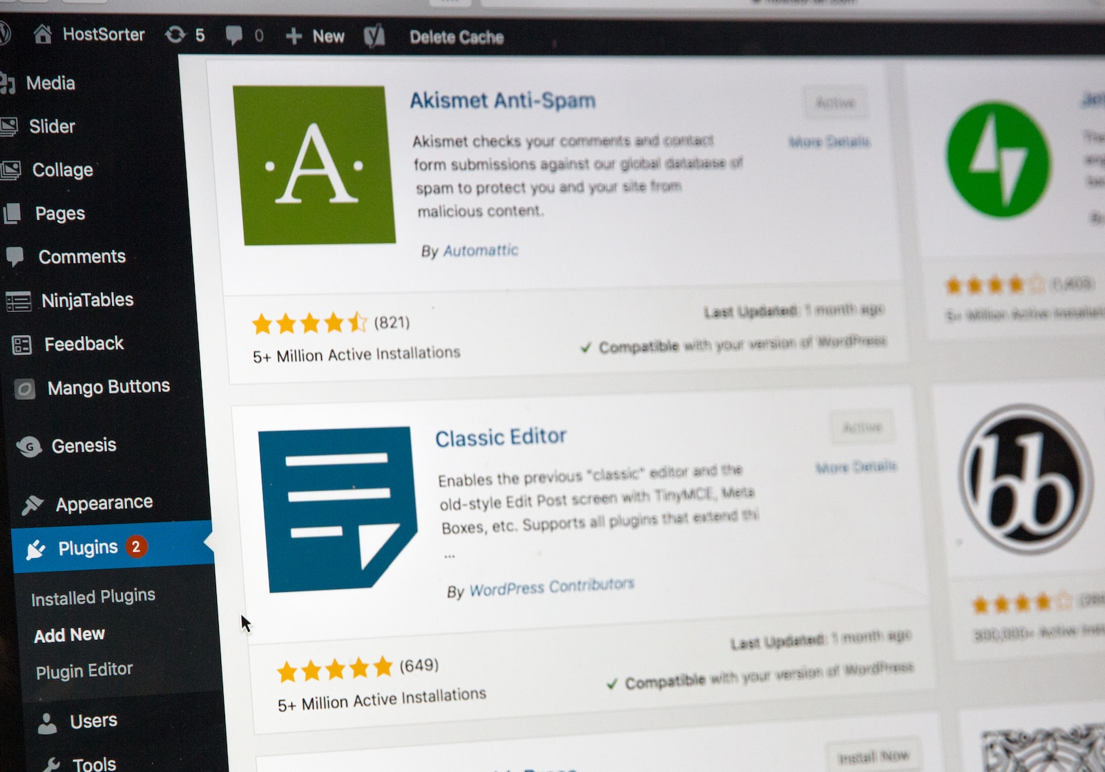 Choosing the Perfect WordPress Theme