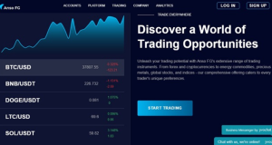 Anso FG Reviews: Trading tips for beginners in 2024