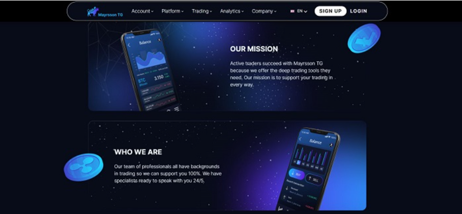 Mayrsson TG Reviews: Investing $100 and Sector Preference