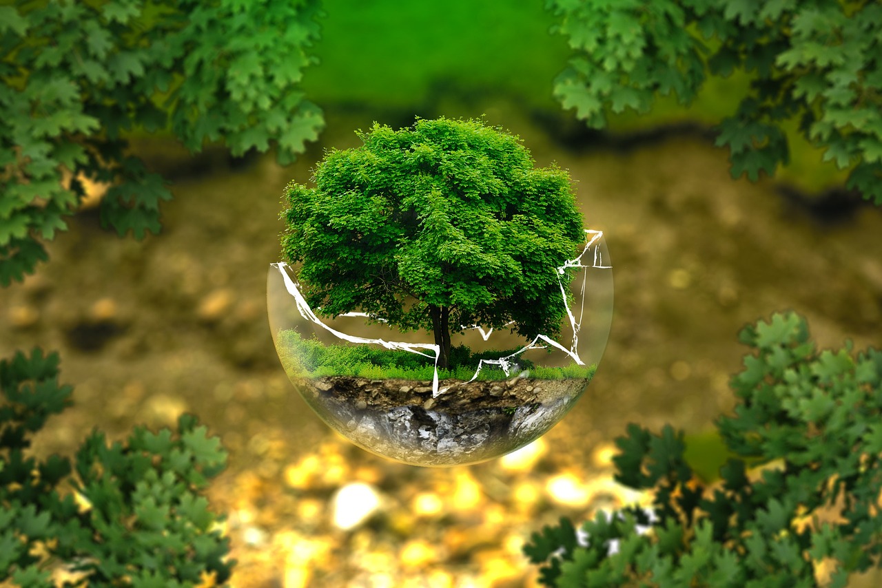 Philanthropy's Role in Shaping the Future of Environmentalism