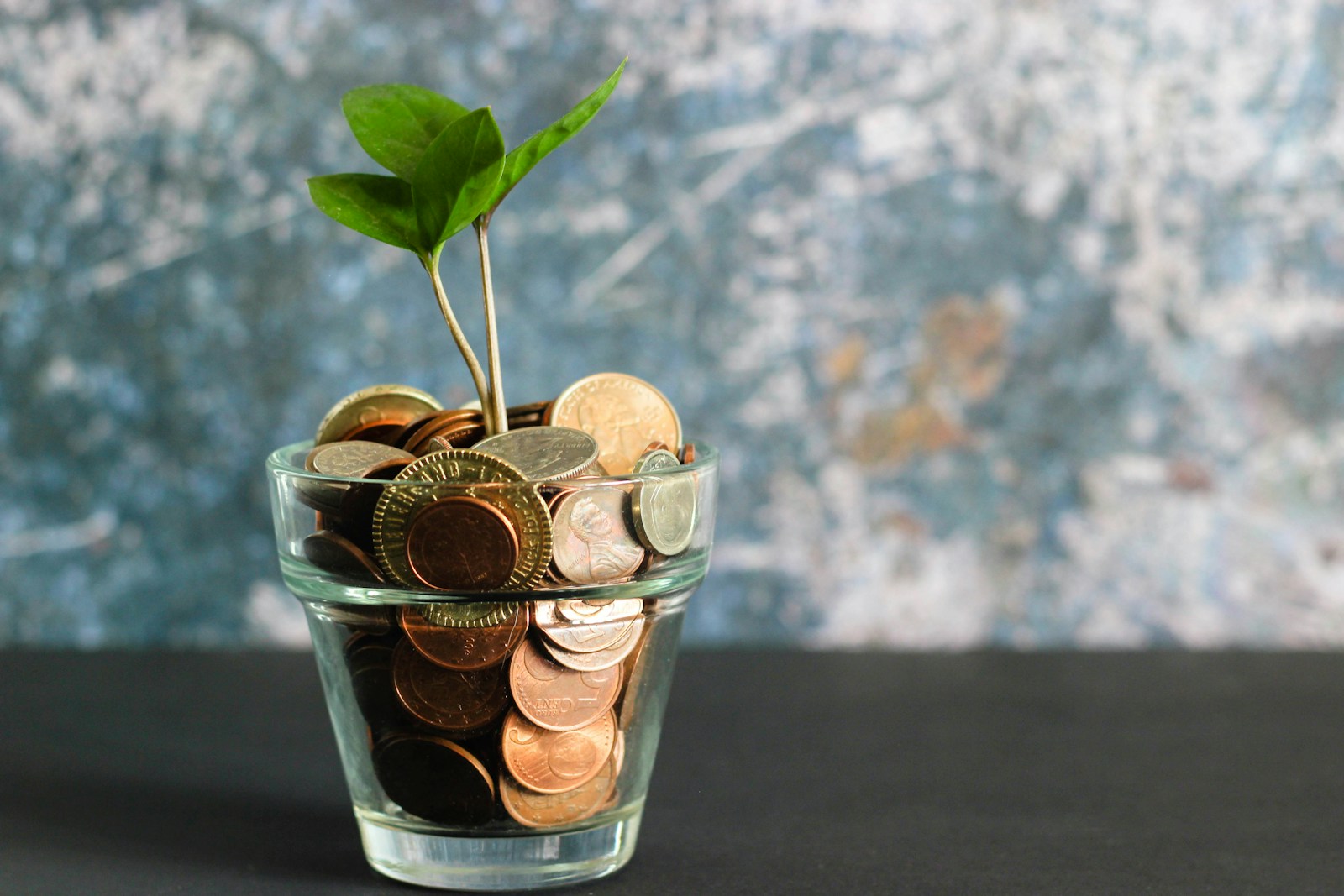 What to Look for When Choosing a Bank