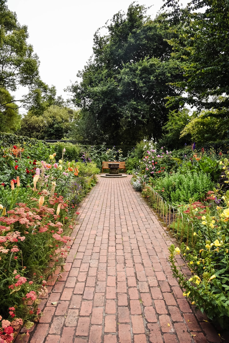 The Psychological Benefits of Tending to a Garden