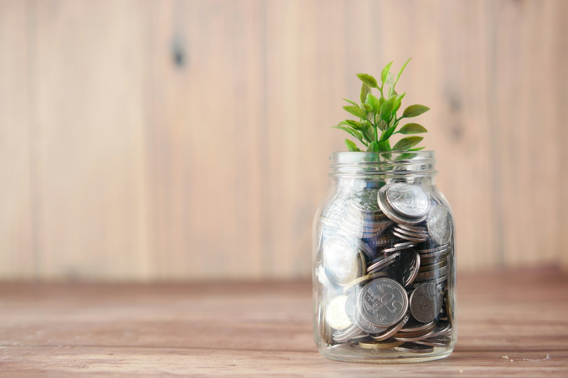 Looking For Feel Good Investments? Here's How to Cash in on the Green Economy