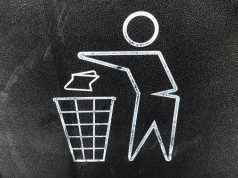 Smart Waste Management: The Future of Clean Cities