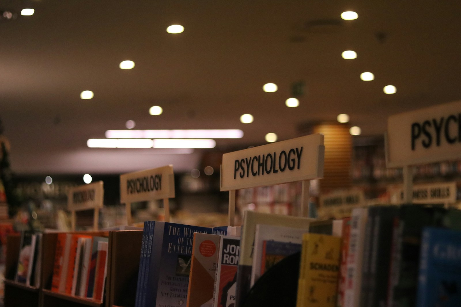 Exploring the Multifaceted Benefits of Psychology Studies