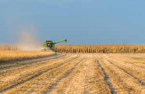 Harvesting Success: 7 Practical Tips for Maximizing Crop Yields with Biostimulants