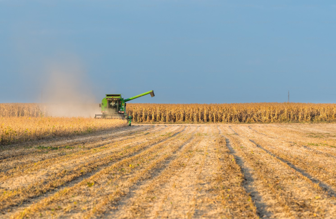 Harvesting Success: 7 Practical Tips for Maximizing Crop Yields with Biostimulants