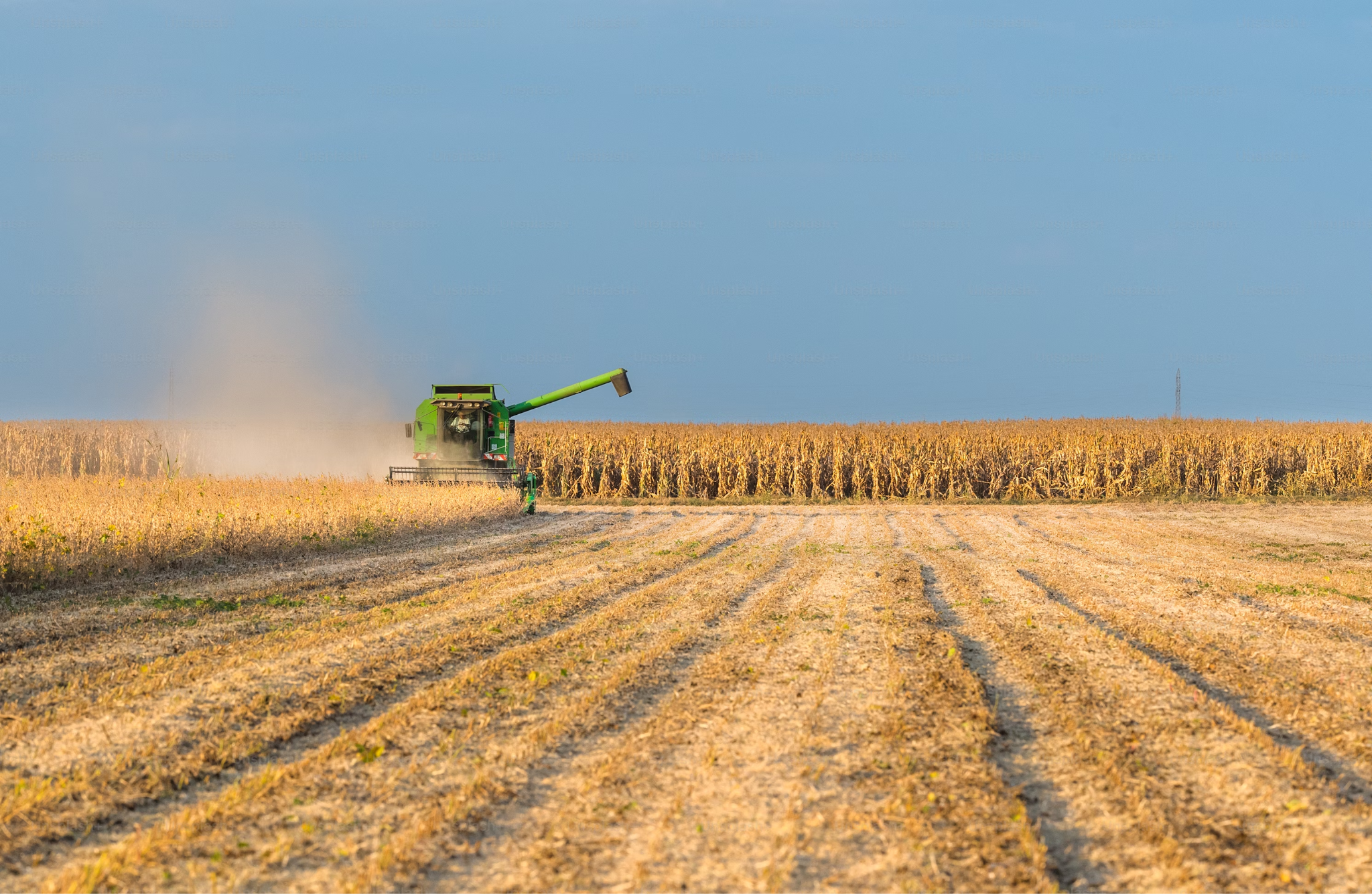 Harvesting Success: 7 Practical Tips for Maximizing Crop Yields with Biostimulants
