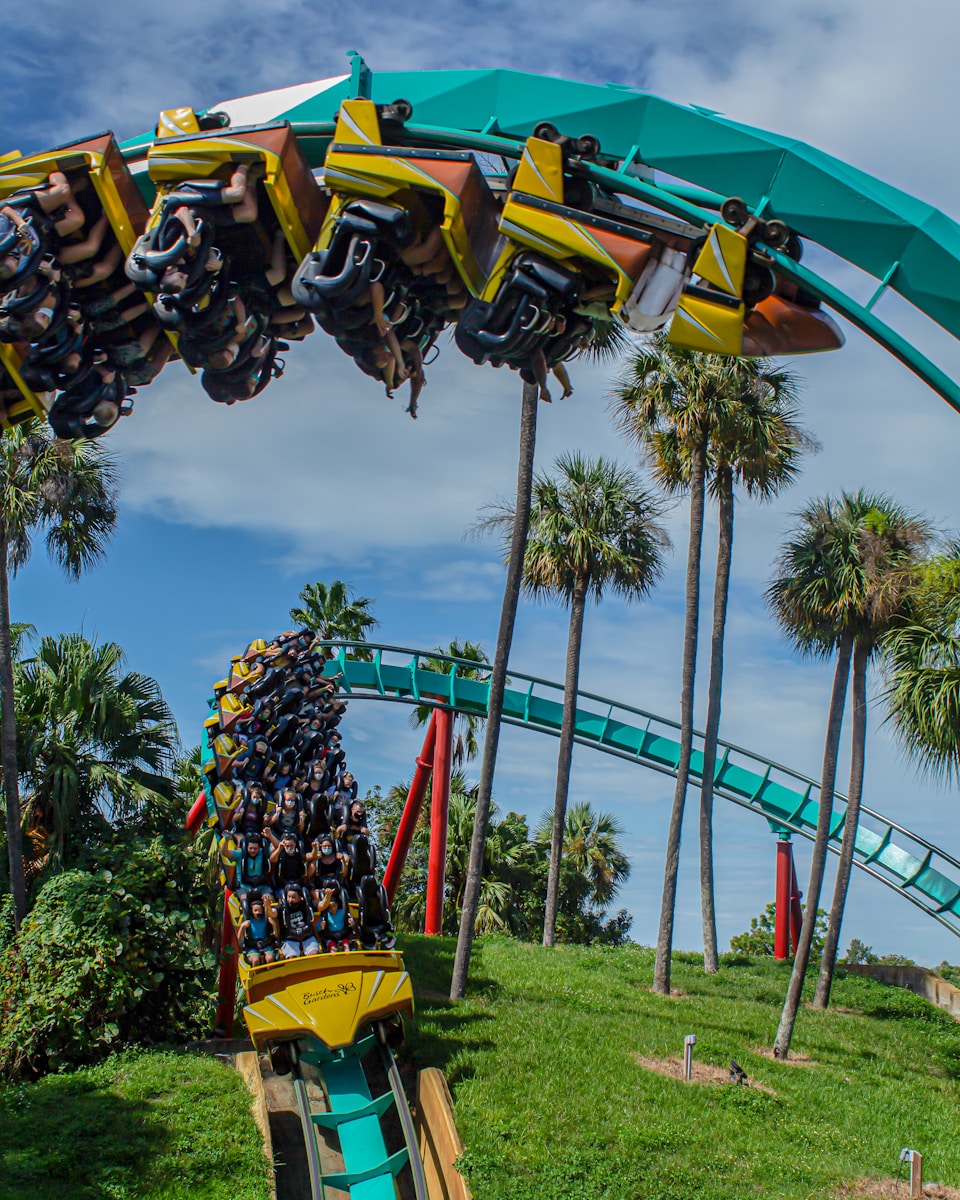 Tips for Saving Money on Park Tickets