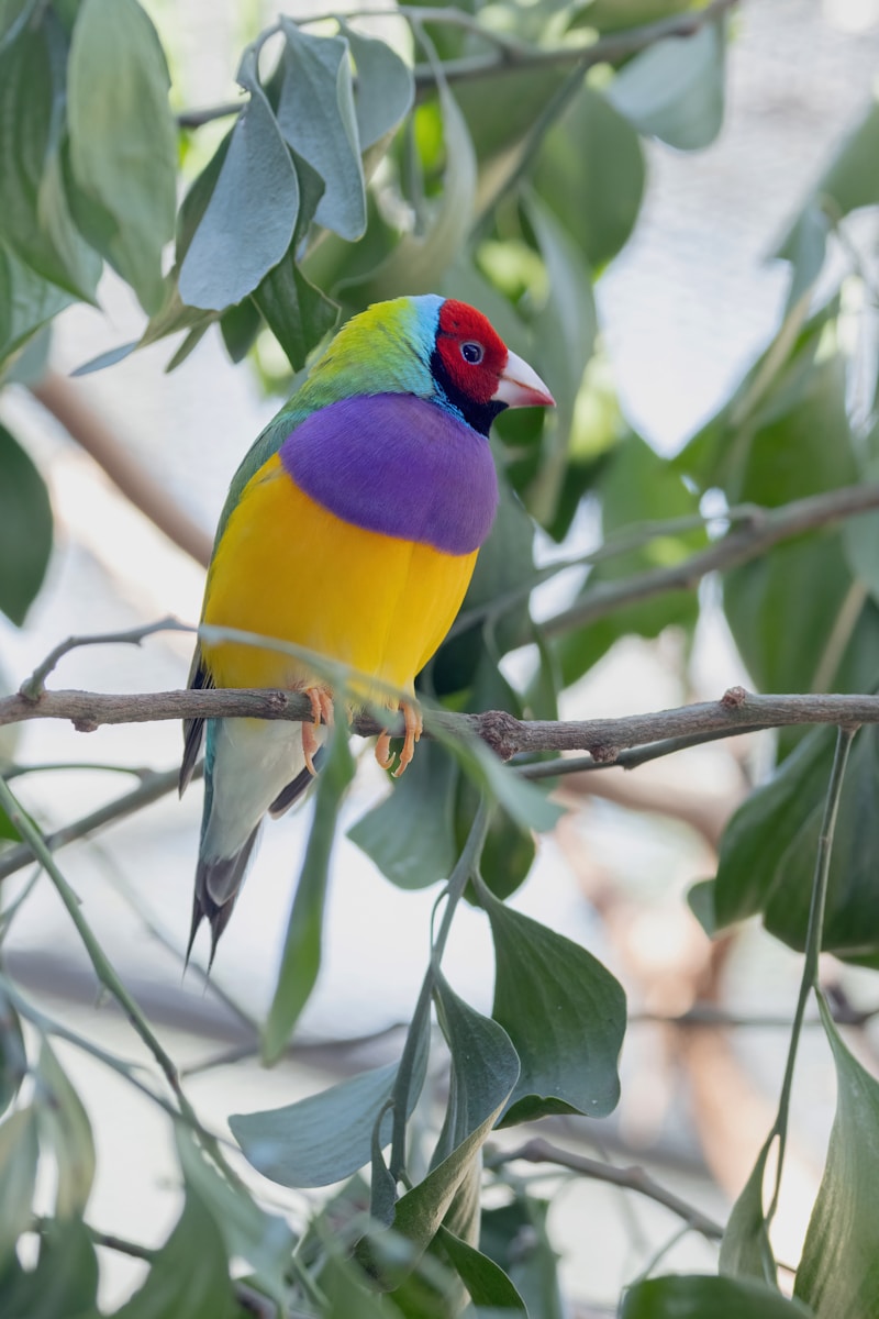 The Essential Guide to Creating and Protecting a Thriving Wildlife Habitat