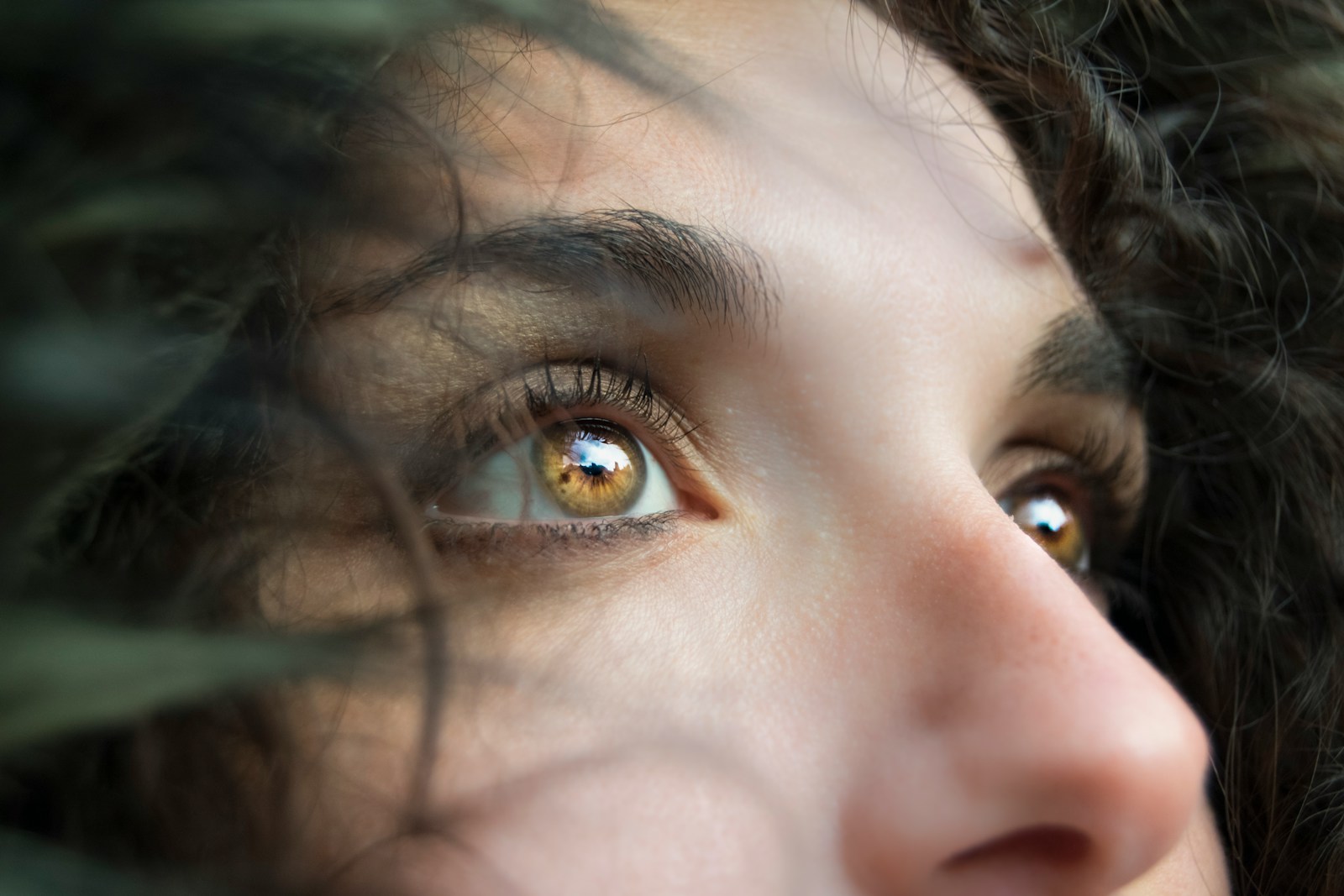 Rhinoplasty