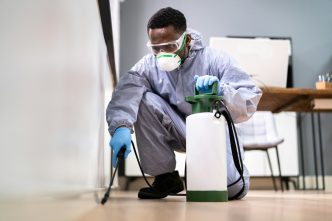 Rising Infestations: Warning Signs You Need Pest Control Now