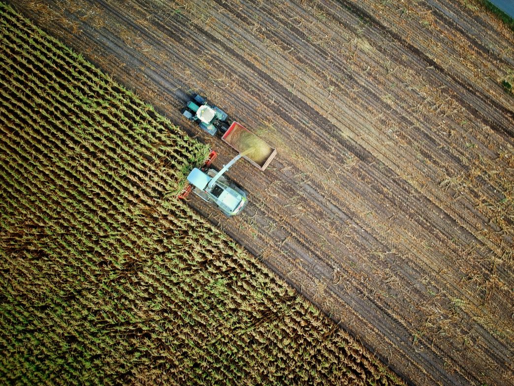 UN’s IFAD President Advocates for Local Agriculture at N4G Summit
