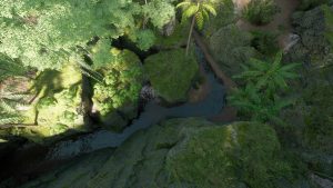 Everland Unveils $50M Bond for Amazon Forest Conservation