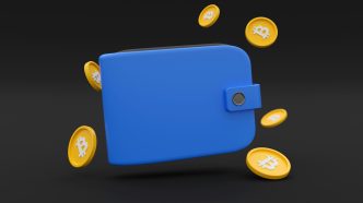 Q1 Sees All Top 5 Wallets Top 1M Downloads