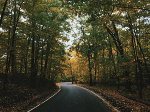 Autumn Equinox
