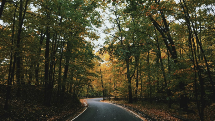 Autumn Equinox