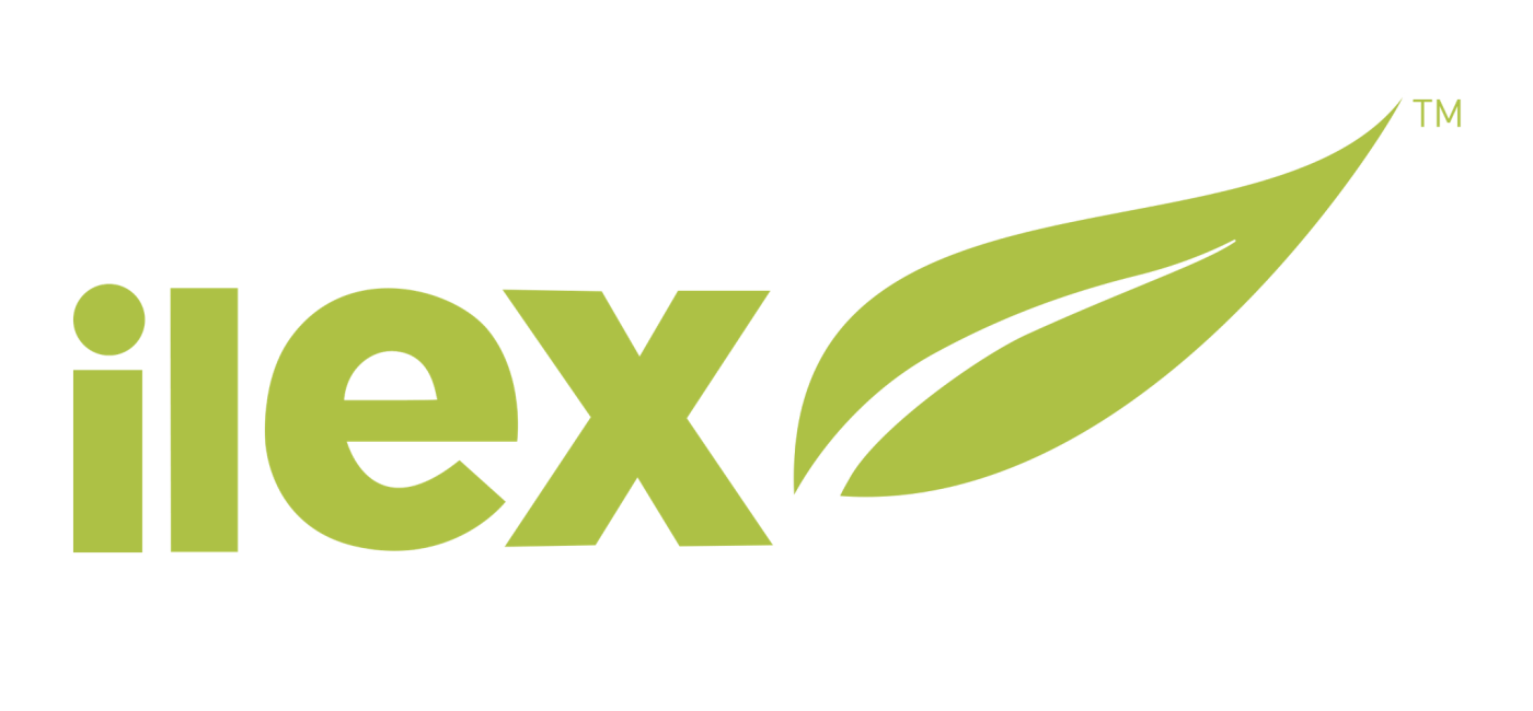 Matthew Whalley Honoured for B2B Marketing Excellence in Middle East