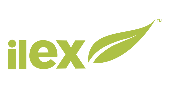 Matthew Whalley Honoured for B2B Marketing Excellence in Middle East