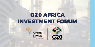 African Energy Chamber Drives G20 Energy Collaboration