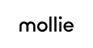 Mollie AI payment integration