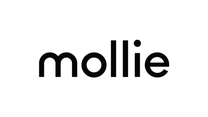Mollie AI payment integration