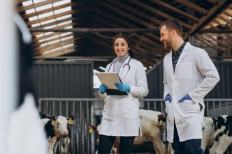 Veterinary Industry Calls for Unified Standards To Protect Animal Health