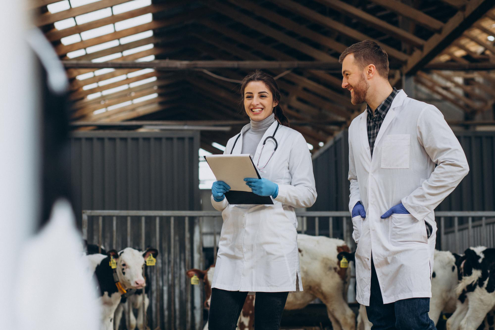 Veterinary Industry Calls for Unified Standards To Protect Animal Health