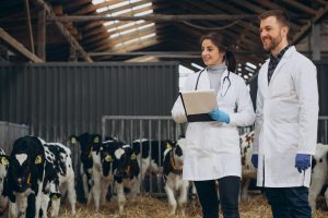 Veterinary Groups Unite To Advocate for Modernized Medicine Policies