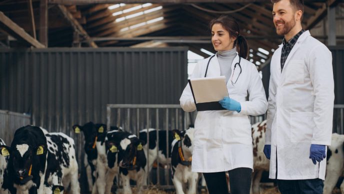 Veterinary Groups Unite To Advocate for Modernized Medicine Policies