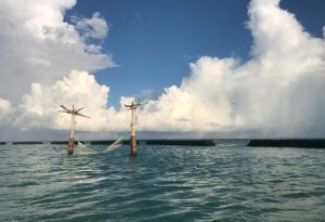 Caribbean and Indian Ocean States Unite To Strengthen Shared Investment Power