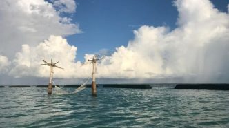 Caribbean and Indian Ocean States Unite To Strengthen Shared Investment Power