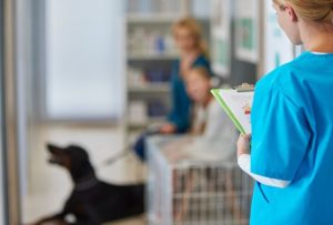 Veterinary Groups Rally for Better Regulation Across the EU