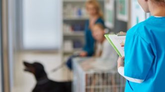 Veterinary Groups Rally for Better Regulation Across the EU