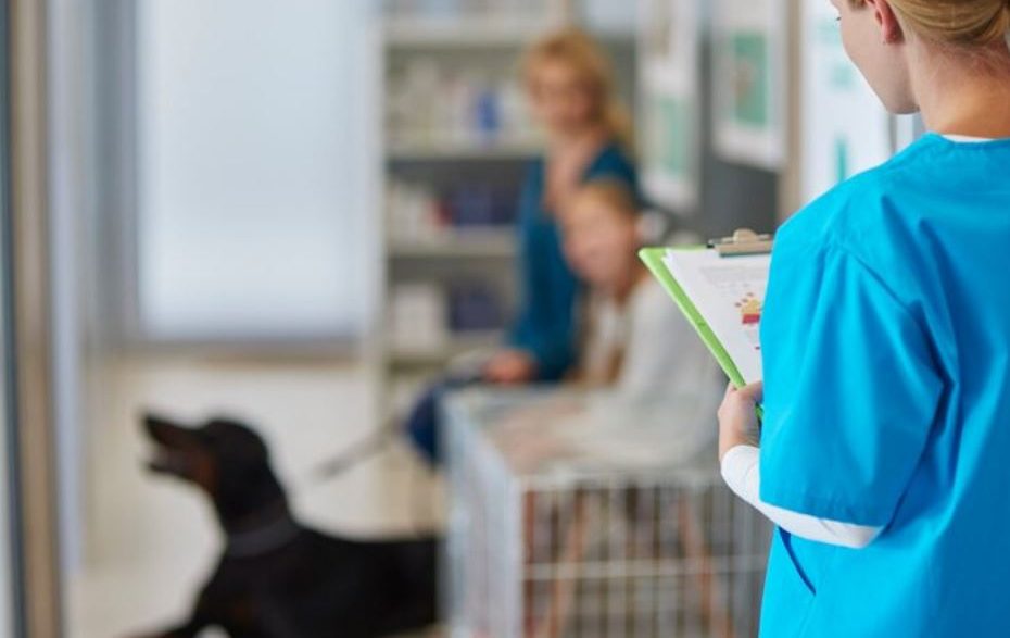 Veterinary Groups Rally for Better Regulation Across the EU