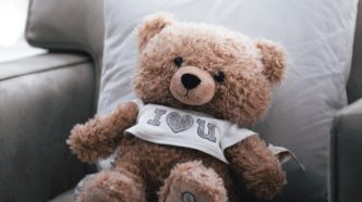 a brown teddy bear sitting on top of a couch