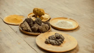 China rare earth shipments halted