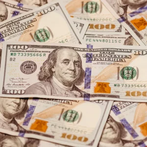 foreign central bank Treasury holdings